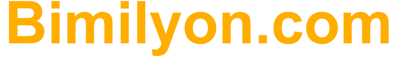 bimilyon.com logo